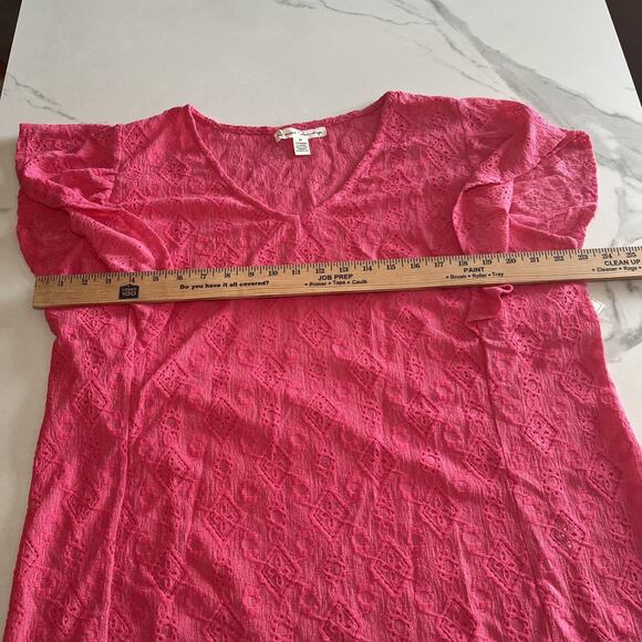 French Laundry Plus Size 2X Pink V Neck Short Ruffle Sleeve Blouse Embroidered - Picture 5 of 11